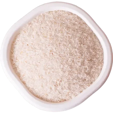 PSYLLIUM HUSK