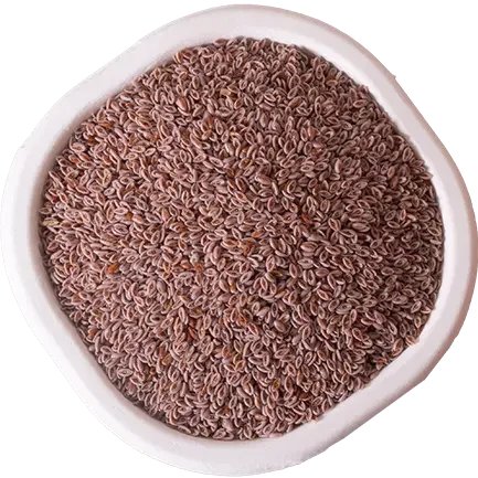 PSYLLIUM SEEDS